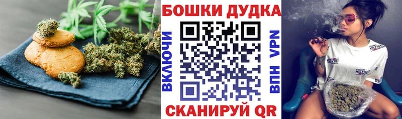 Canna-Cookies марихуана  Тайга 