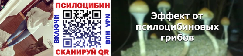 Галлюциногенные грибы Magic Shrooms купить наркотики цена Тайга
